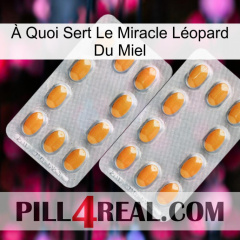 À Quoi Sert Le Miracle Léopard Du Miel cialis4